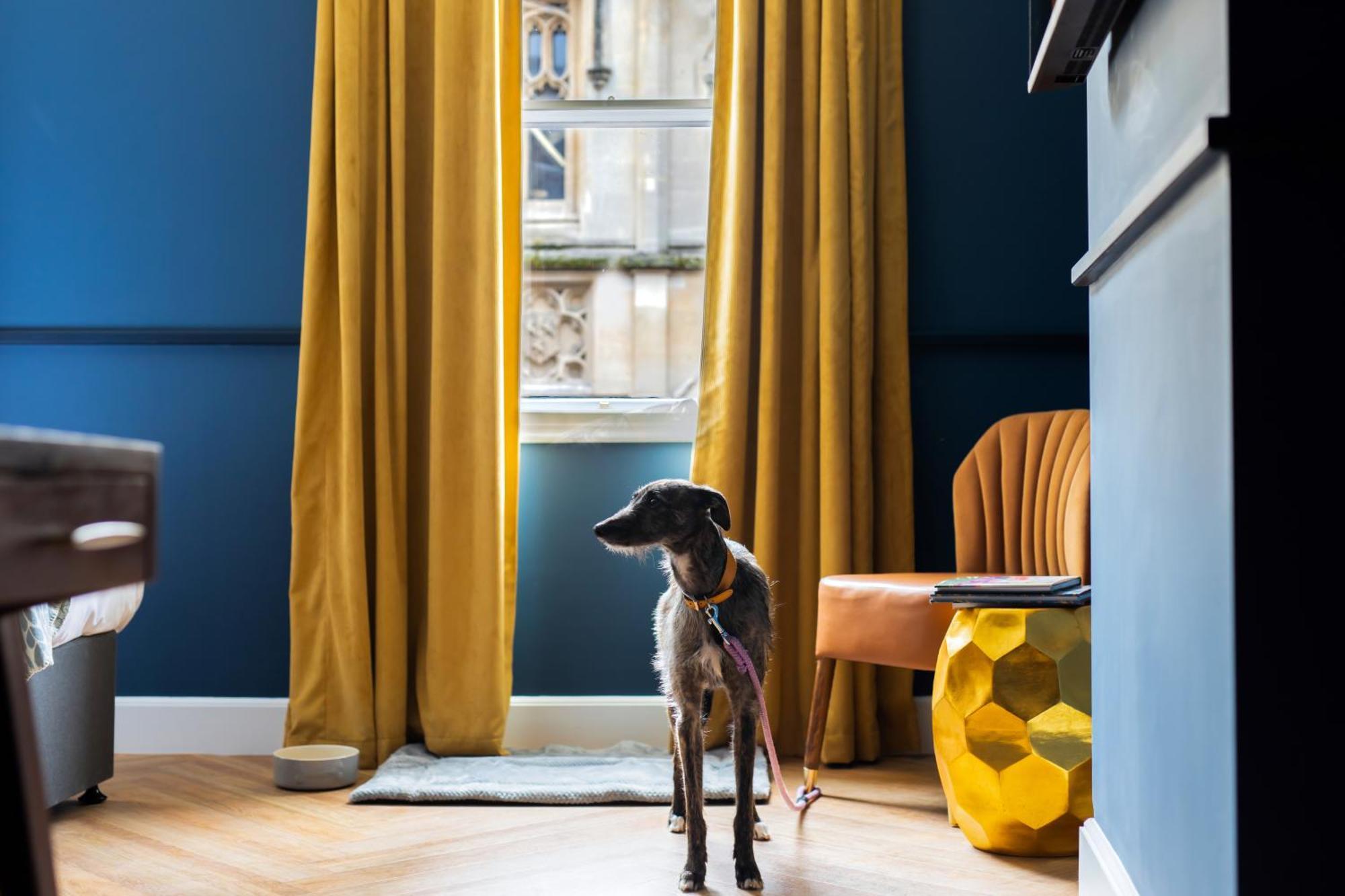 Hort'S Townhouse Hotel Bristol Luaran gambar